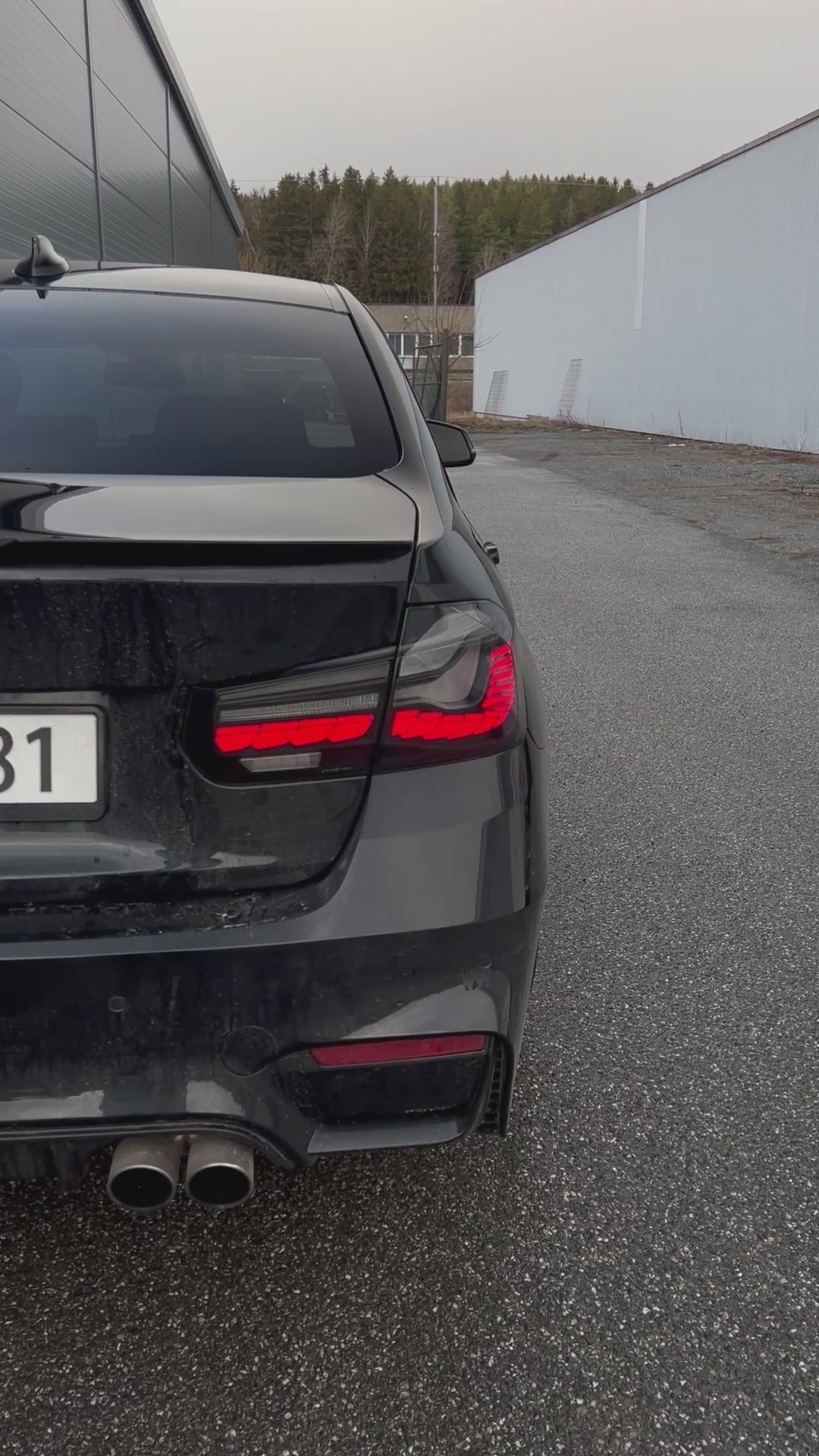 BMW F30 & F80 M3 GTS OLED baklykter "Smoke" – bilde 7 | Sportsdeler